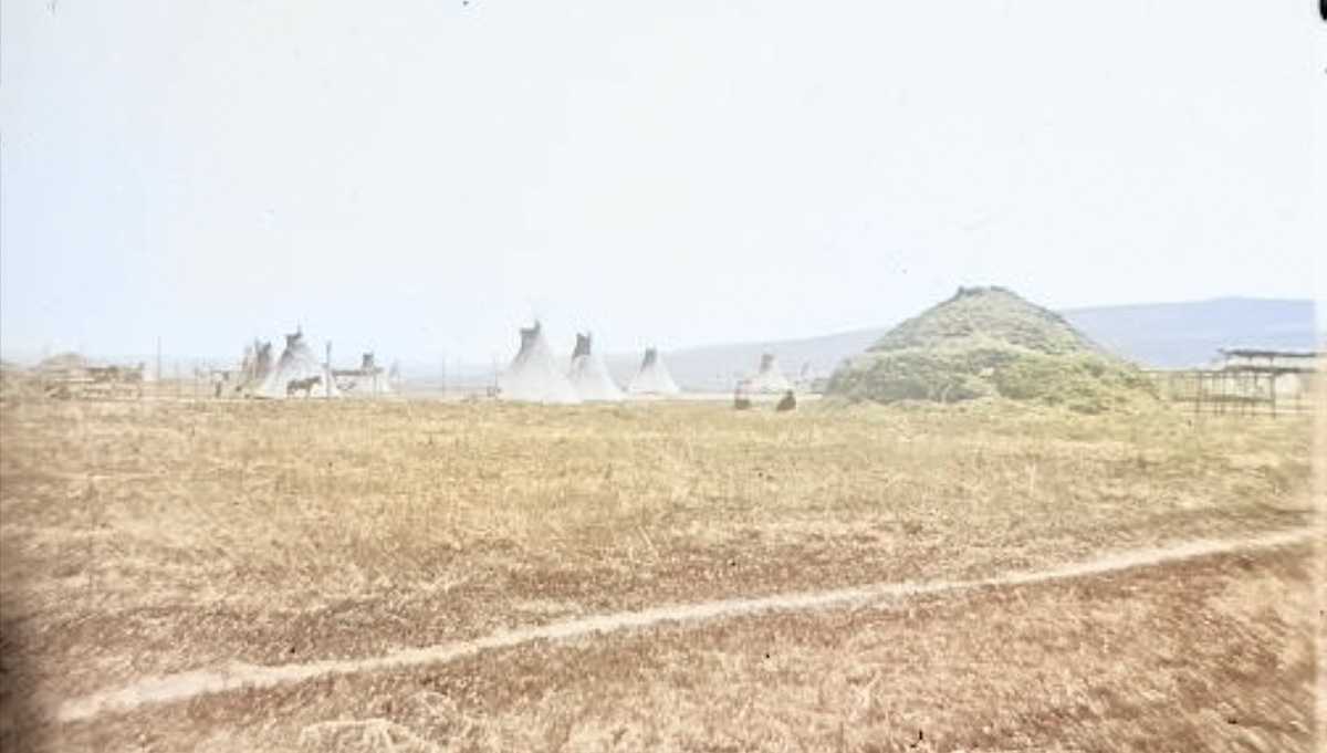 Interpretive sign on the prairie