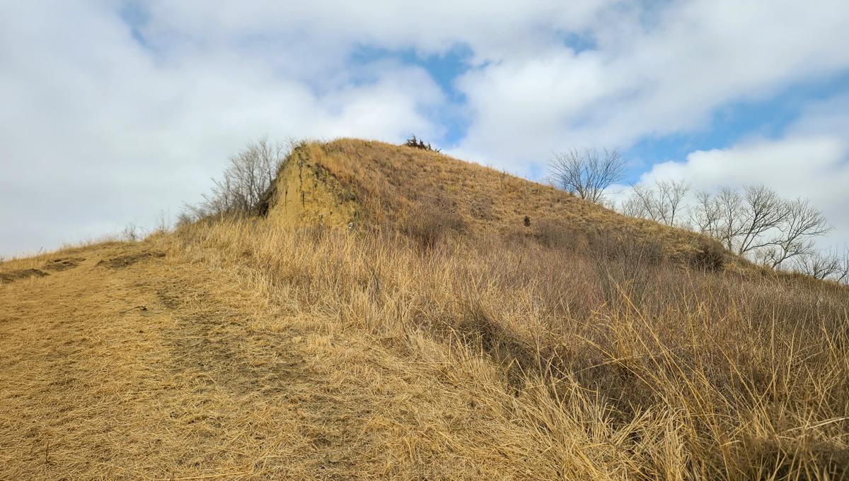 The 'Bald Pated Prairie'—a small bald with a few small trees and prairie grass